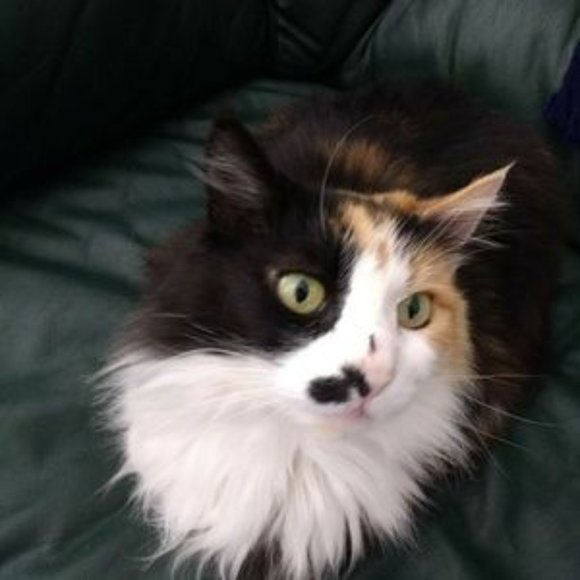 DO I HAVE A BUG ON MY NOSE? - Picture 3 of 3